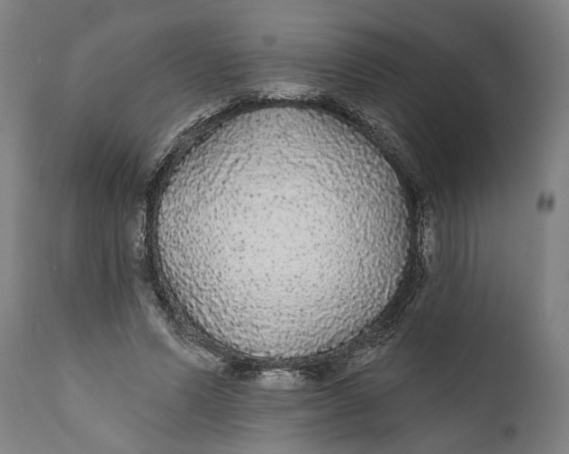 X0000111590591200908061352