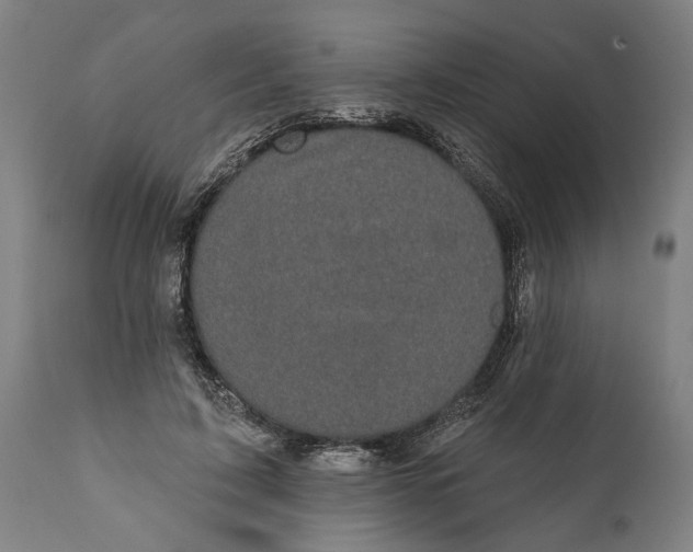 X0000111590595200908061352