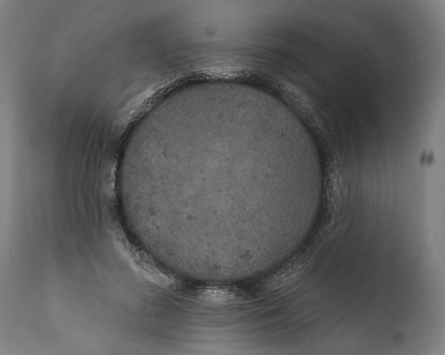 X0000111590596200908061352