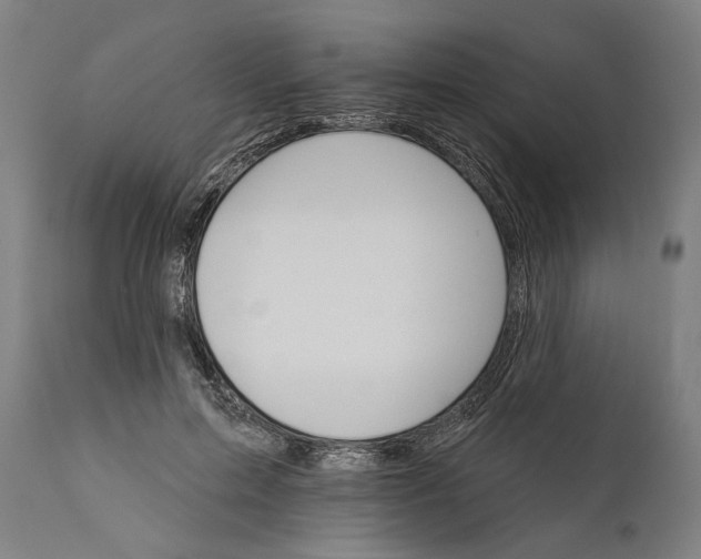 X0000111590599200908061351