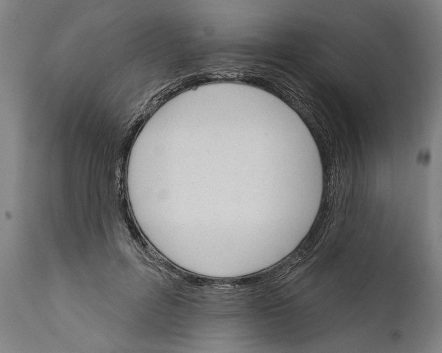 X0000111590600200908061351