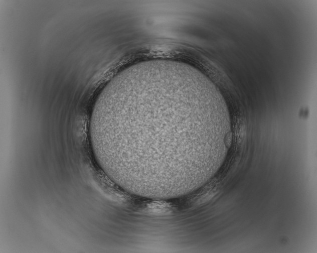 X0000111590603200908061351