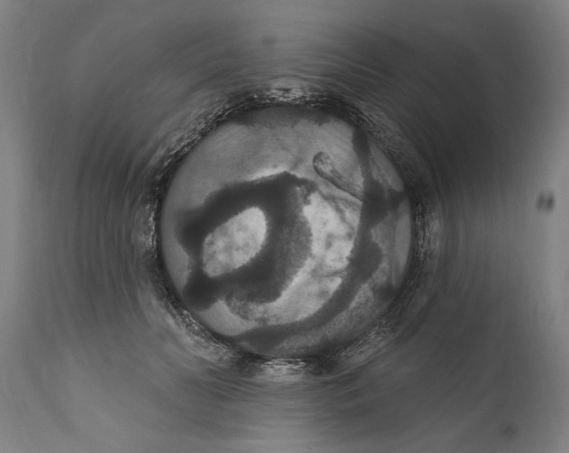 X0000111590606200908061351