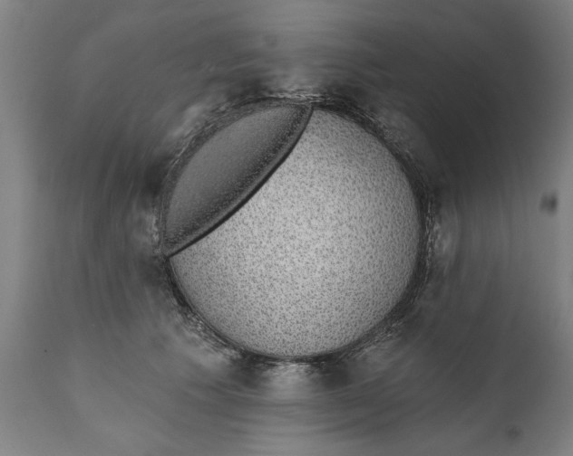 X0000111590609200908061351