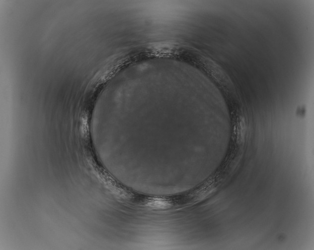 X0000111590610200908061351