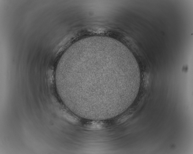 X0000111590612200908061351