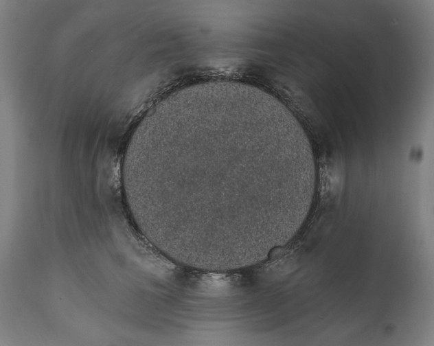 X0000111590613200908061351