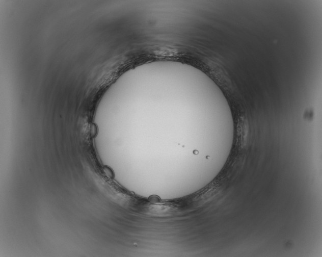 X0000111590614200908061351