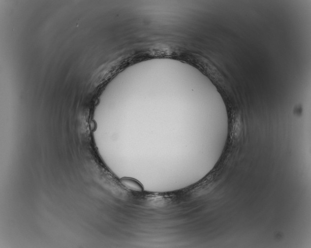 X0000111590616200908061351