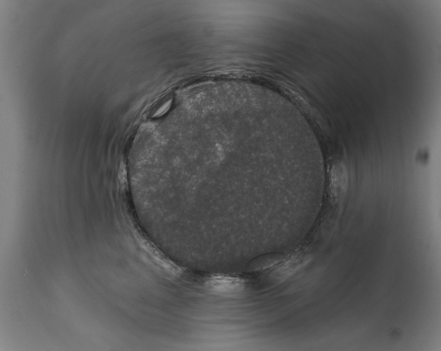 X0000111590617200908061351