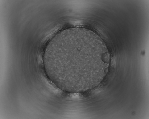 X0000111590618200908061351