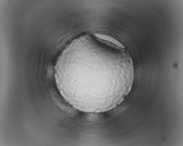 X0000111590623200908061351