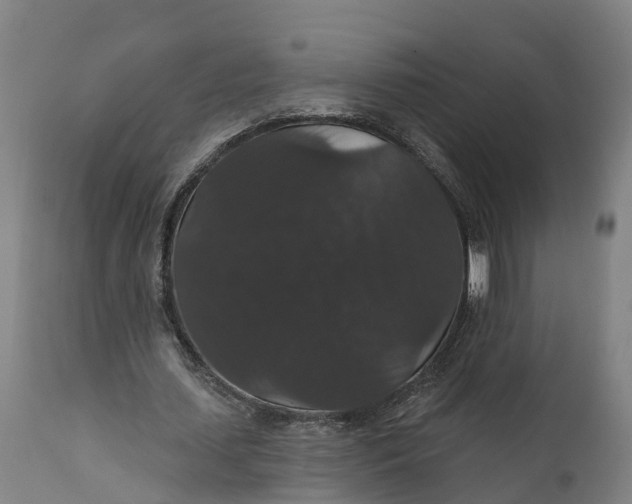 X0000111590627200908061350