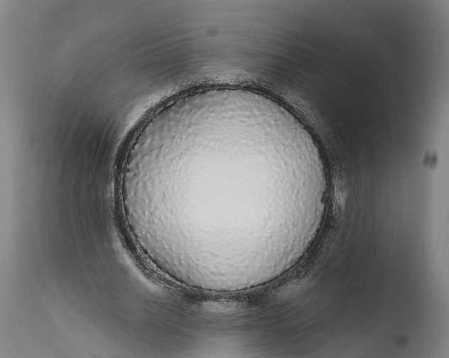 X0000111590630200908061350