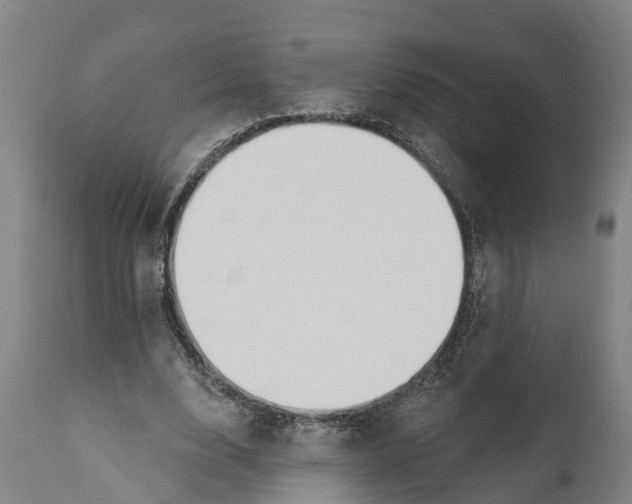 X0000111590632200908061350