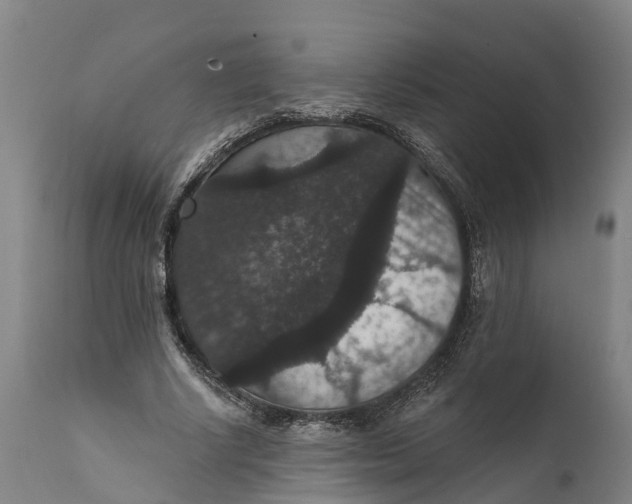 X0000111590634200908061350