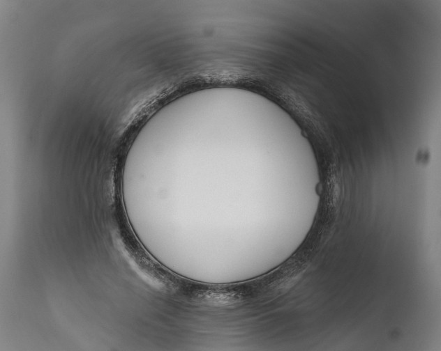 X0000111590638200908061350