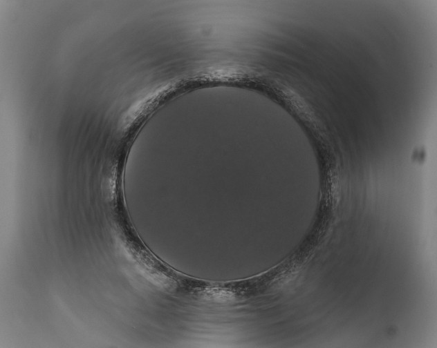 X0000111590640200908061350