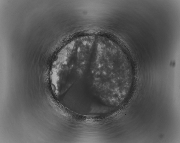 X0000111590641200908061351