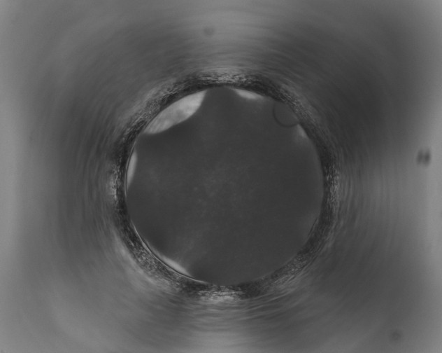 X0000111590643200908061351