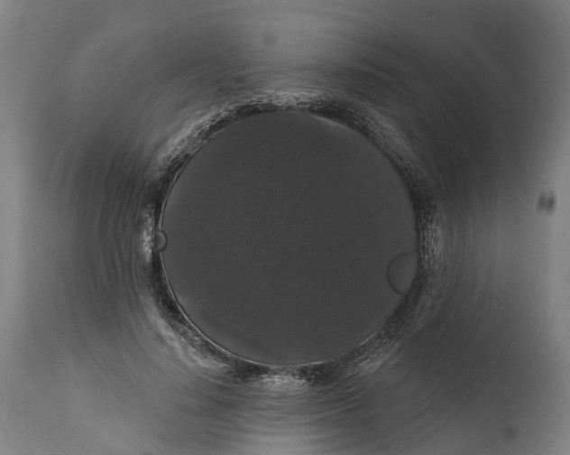 X0000111590644200908061351