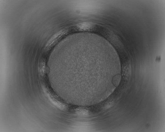 X0000111590648200908061351