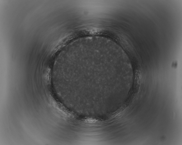 X0000111590650200908061351