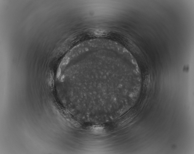 X0000111590651200908061351