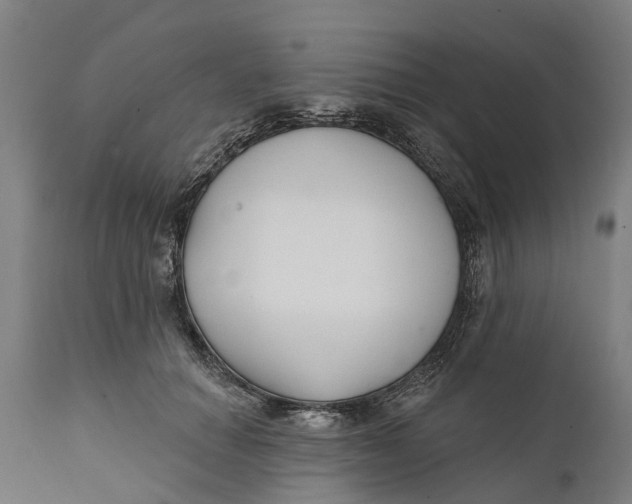 X0000111590654200908061351