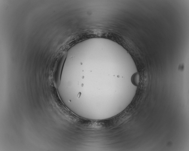 X0000111590656200908061351