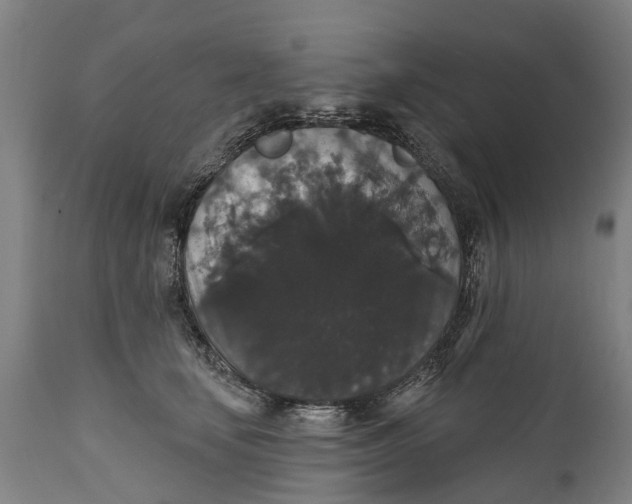 X0000111590659200908061351