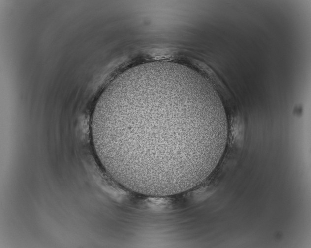 X0000111590667200908061351