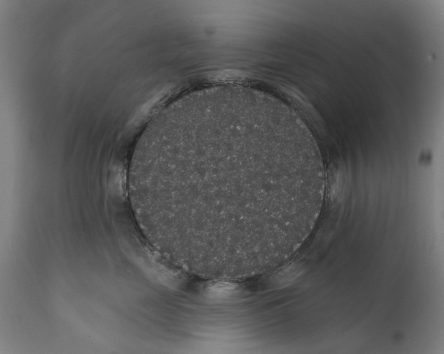 X0000111590669200908061351