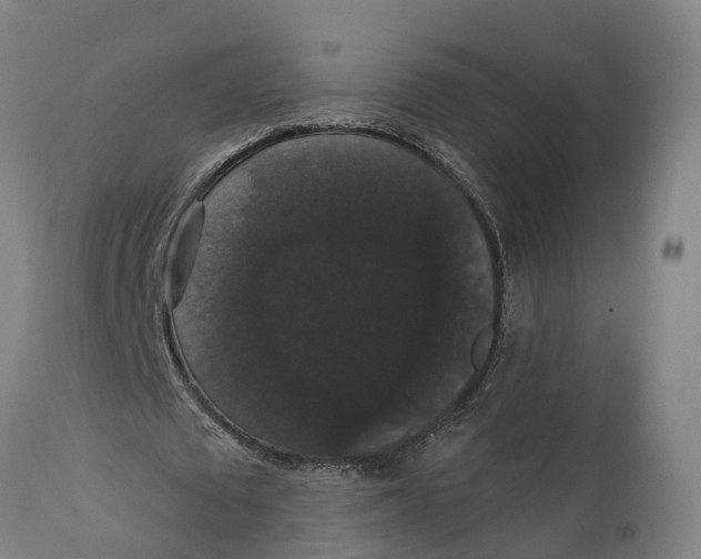 X0000111590673200908061350