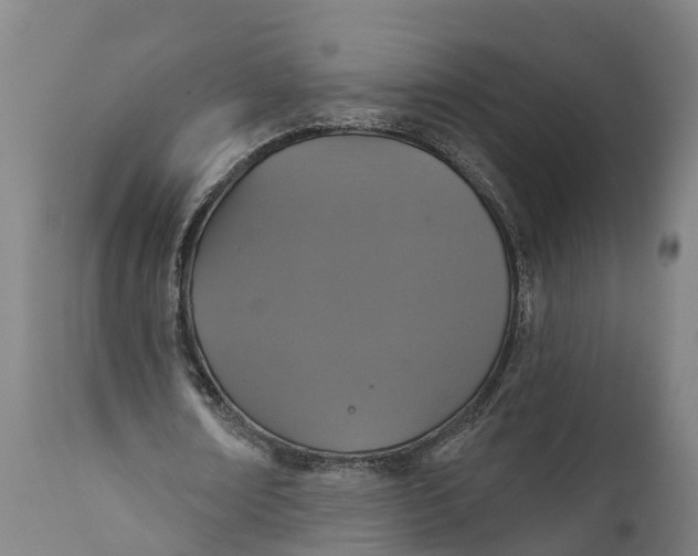 X0000111590674200908061350