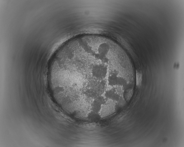 X0000111590675200908061350