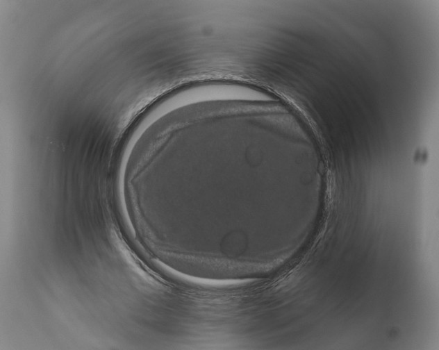 X0000111590677200908061350