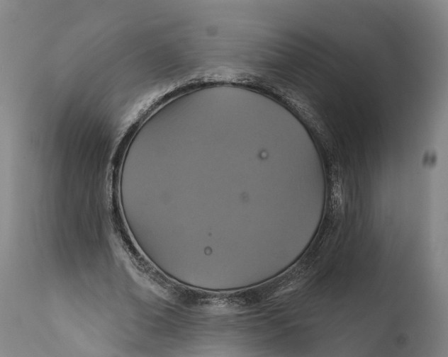 X0000111590678200908061350