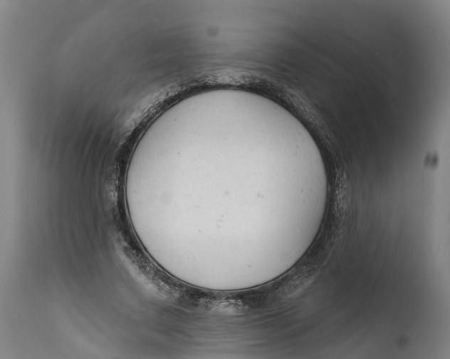 X0000111590683200908061350