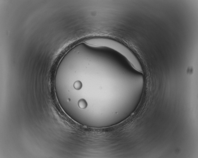 X0000111590684200908061350