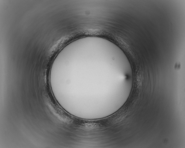 X0000111590686200908061350