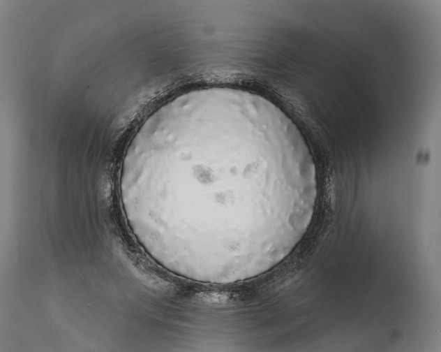 X0000111590687200908061350