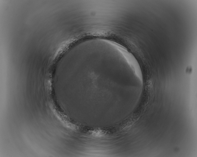 X0000111590688200908061350