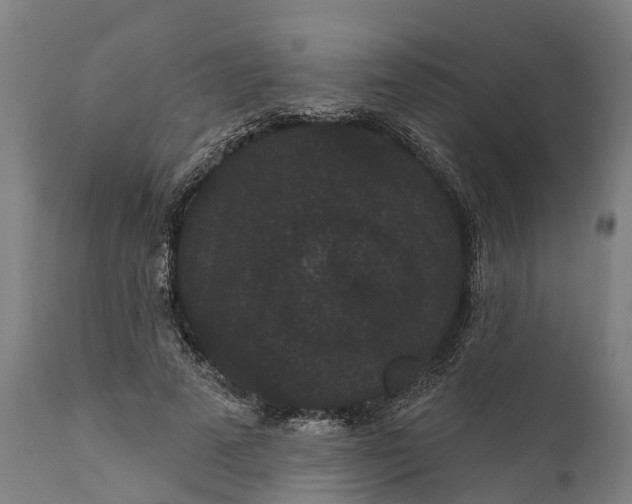 X0000111590689200908061350