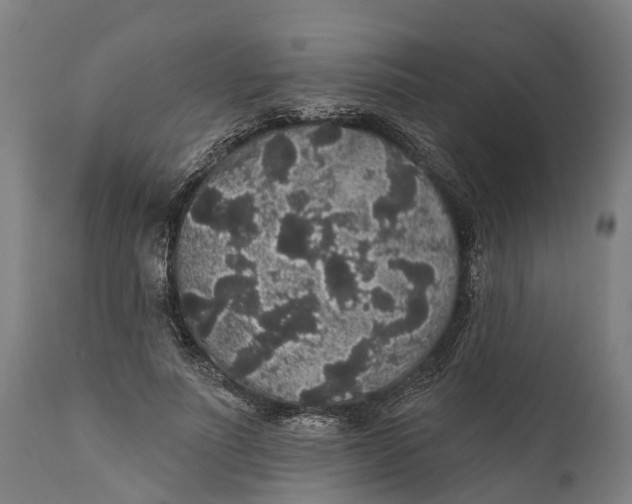 X0000111590691200908061350