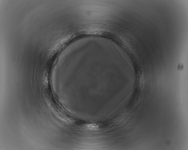 X0000111590692200908061350