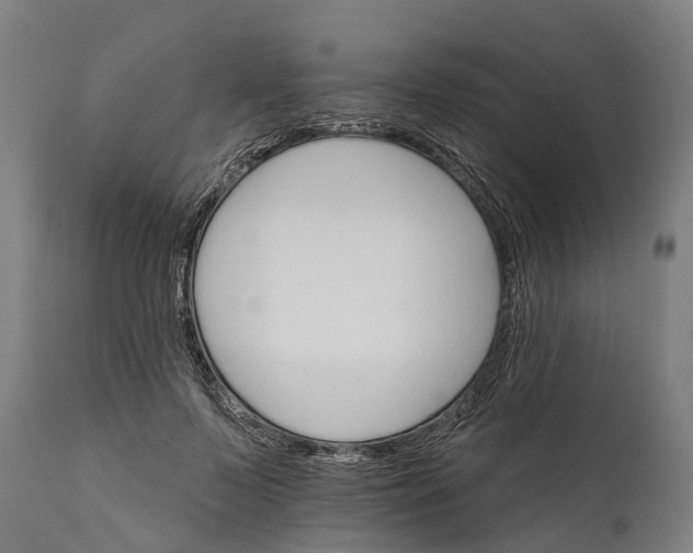 X0000111590695200908061350