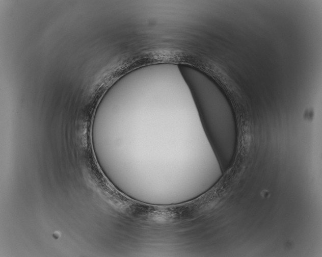 X0000111590696200908061350