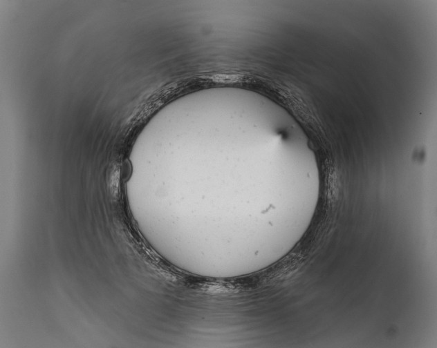 X0000111590697200908061350