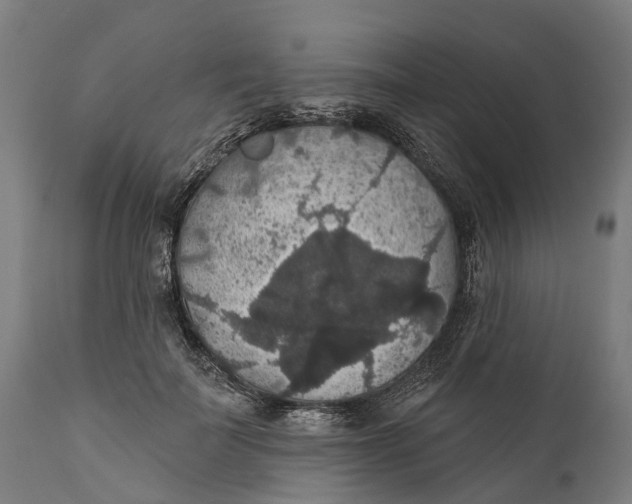 X0000111590699200908061350